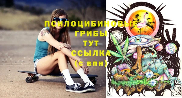 герыч Новозыбков