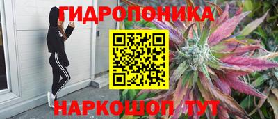 мяу мяу мука Жуковский