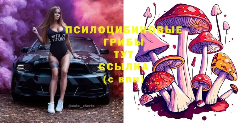 Псилоцибиновые грибы MAGIC MUSHROOMS  даркнет клад  Лабытнанги  KRAKEN как зайти 