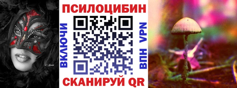 наркота Лабытнанги Псилоцибиновые грибы MAGIC MUSHROOMS